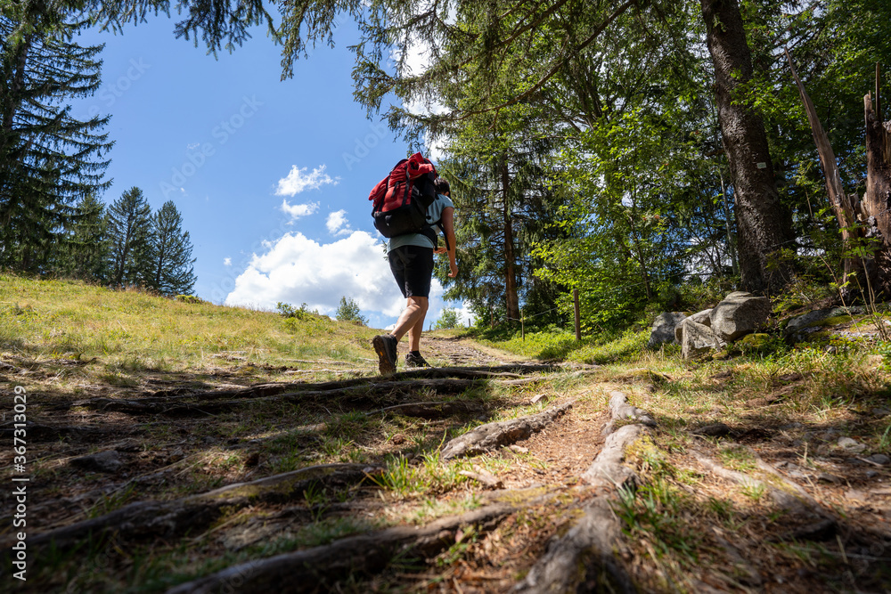 Obraz premium Schwarzwald bei Sankt Blasien