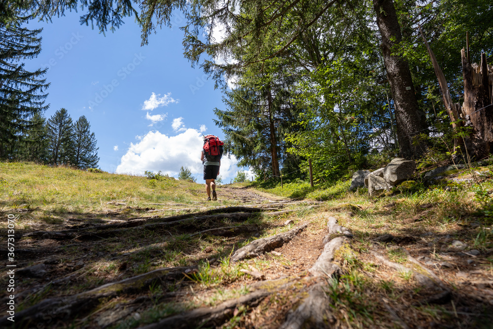 Fototapeta premium Schwarzwald bei Sankt Blasien