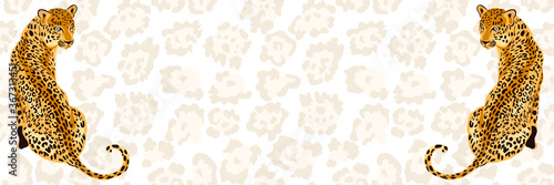 Leopard, jaguar, cheetah tiger  big cat banner with animal skin print frame background