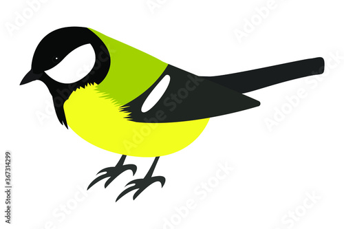 Yellow bird  great tit, vector stock illustration