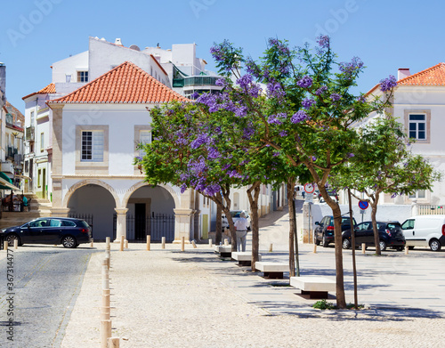 One of the cantral squares in Lagos, Portugal. Beautiful blooming trees aligned in fron of the cute houses with tiled roofs. 