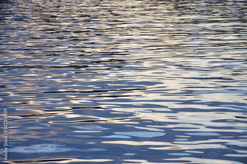 ripples in water. water surface reflection