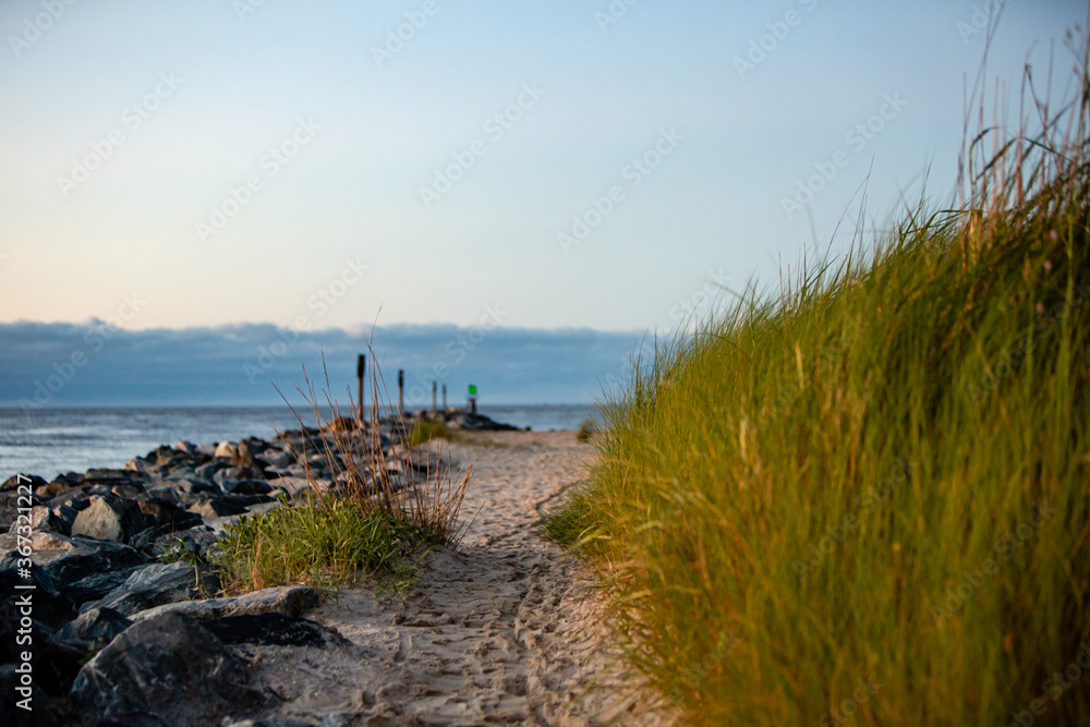 east coast sand beach path rock jetty green grass