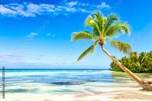 Tropical white sandy beach with palm trees. Saona Island, Dominican Republic. Vacation travel background.