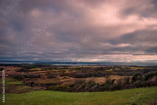 A panoramic view of the Studland and Godlingston Heath in Dorset, England