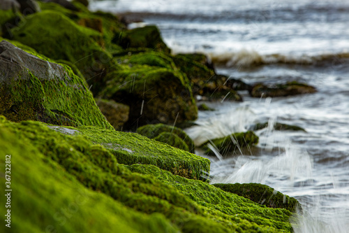 moss covered rock jetty Atlantic Ocean coastline