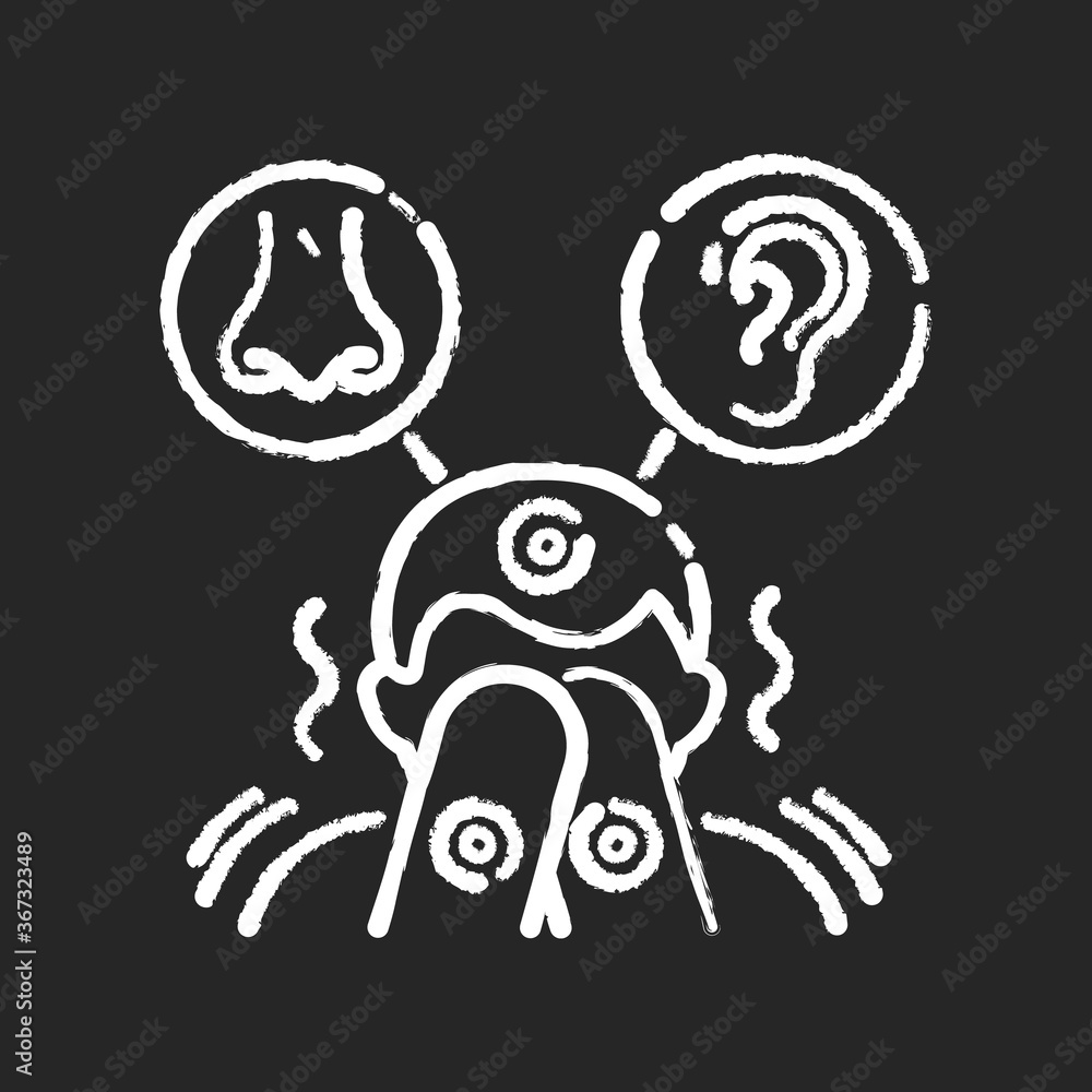 Sensory sensitivity chalk white icon on black background. Trigger for perception. Irritated person with mental disorder. Ear and nose. Health care. Isolated vector chalkboard illustration