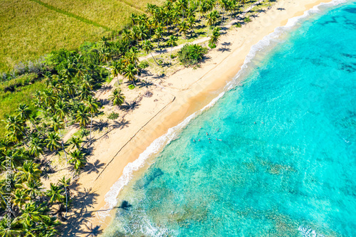 Aerial drone view of beautiful wild caribbean tropical Macao beach with palms. Dominican Republic. Vacation background.