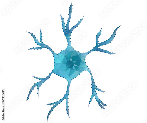 neuron, star, polygon, b-w2