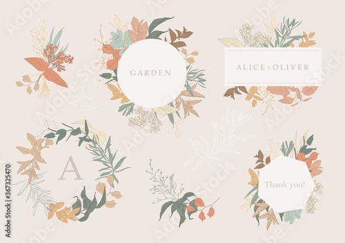 Botanical garden. Vector collection of hand drawn plant elements