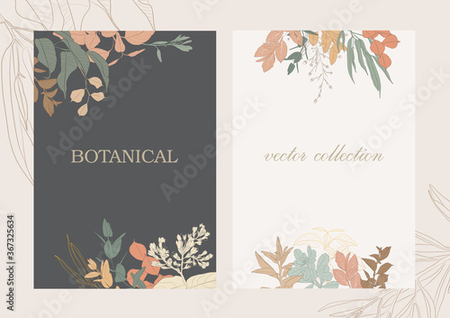 Botanical garden. Vector collection of hand drawn plant elements
