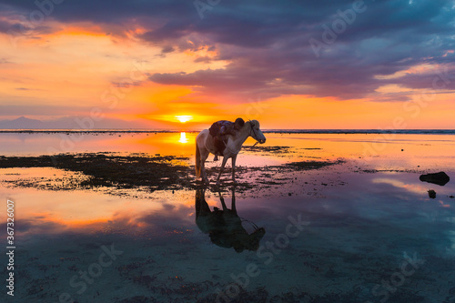 Gili Air sunset, a man with a horse