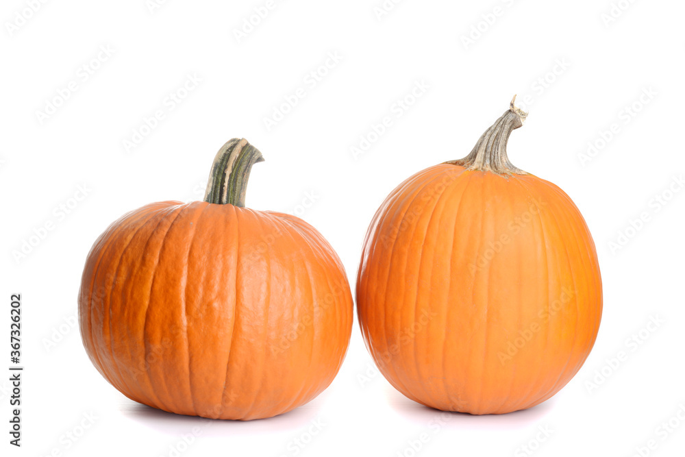 Obraz premium two pumpkins on white background