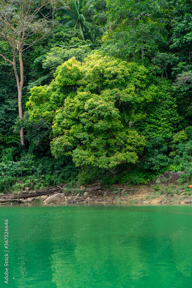 Kenyir lake water with tropical forest trees. Beautiful tranquill idylic view. Kenyir lake water with tropical forest trees. Beautiful tranquill idylic view.
