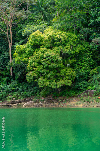 Kenyir lake water with tropical forest trees. Beautiful tranquill idylic view.