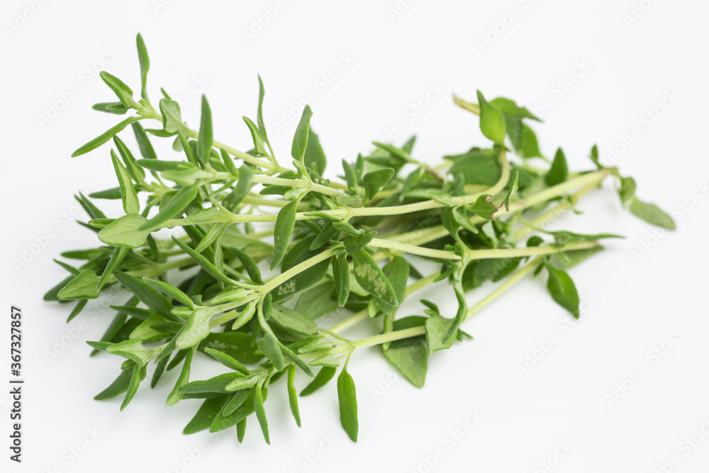 bunch of thyme - thymus vulgaris bunch of thyme - thymus vulgaris
