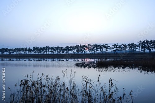 The beautiful landscape of tree line silhouette and reflection on the water in sun risetime. © Chongbum Thomas Park