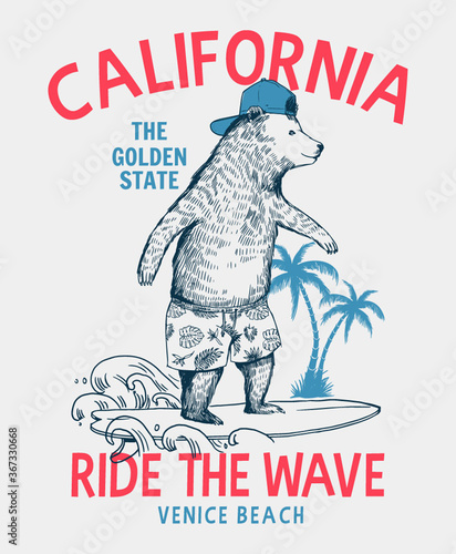 Surfer bear vector illustration. California, Venice beach t-shirt graphic.