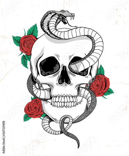 Rock and roll graphic design with skull, roses and snake illustration for t-shirt and other uses.