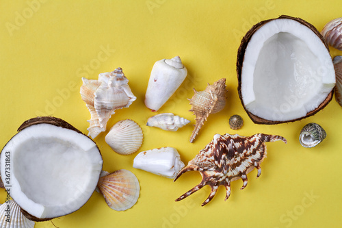 Ripe coconut parts and seashells souvenirs. Isolated on yellow background. photo