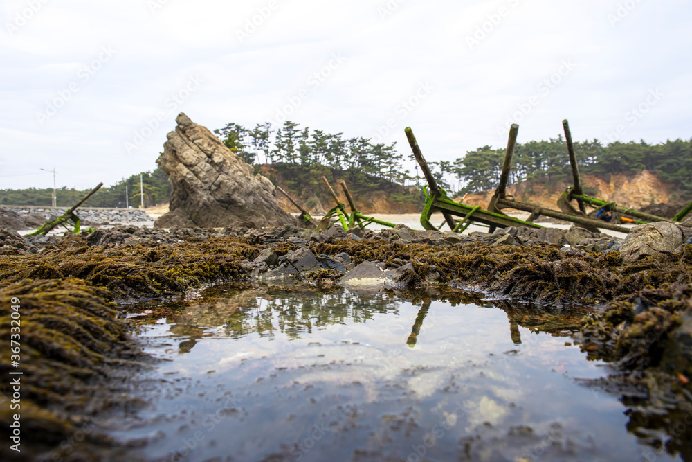 Beautiful green seaweed algae mossy on the abandoned anchor background sand wave,island and blue sky.