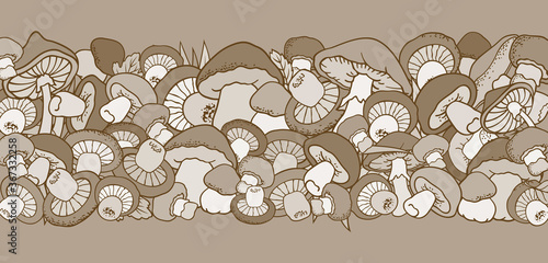 Mushrooms nature cartoon vector hand drawn border