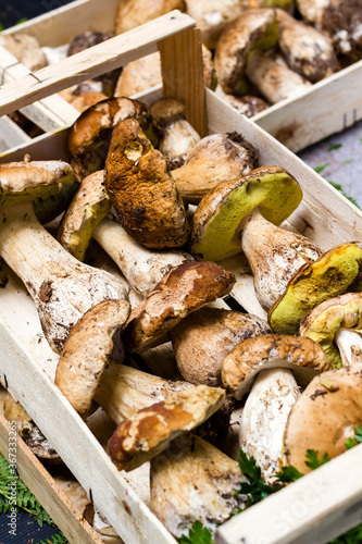 Porcini mushrooms (Boletus edulis) in wooden crates at the local market in French Pyrenees