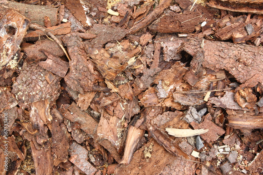 Garden decorations - scattered tree bark on the ground Garden decorations - scattered tree bark on the ground