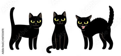 Fototapeta Naklejka Na Ścianę i Meble -  Cartoon black cat set