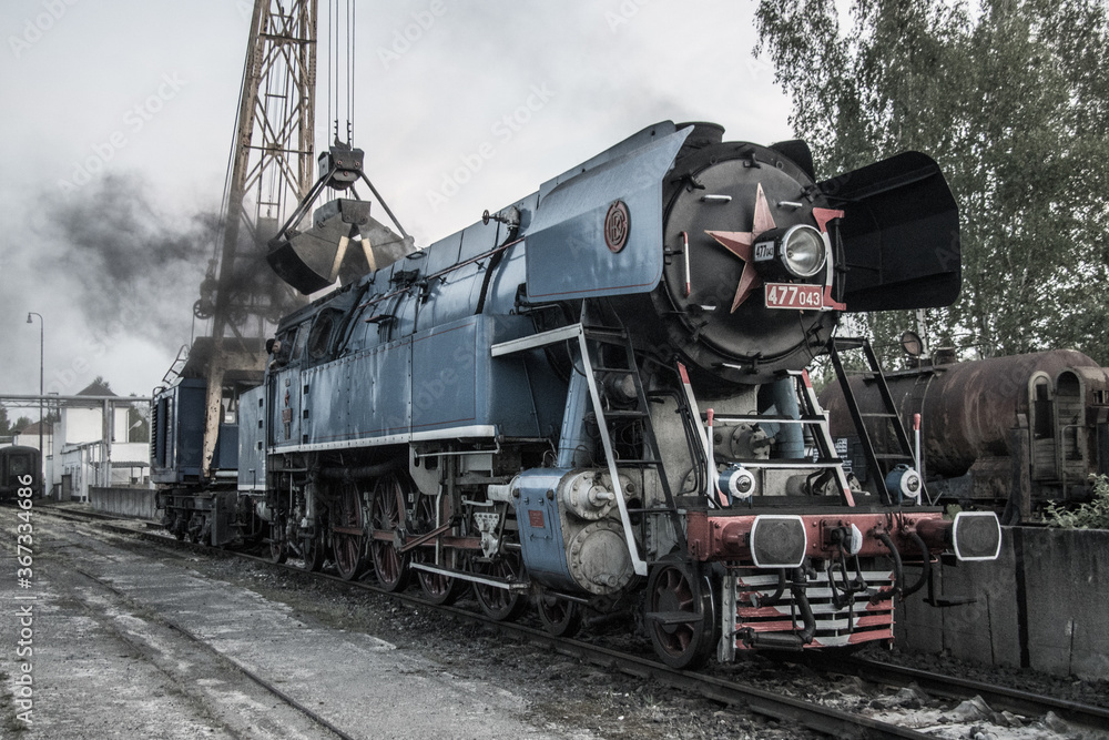 czech steam locomotive in locomotive depot
czech steam locomotive in locomotive depot