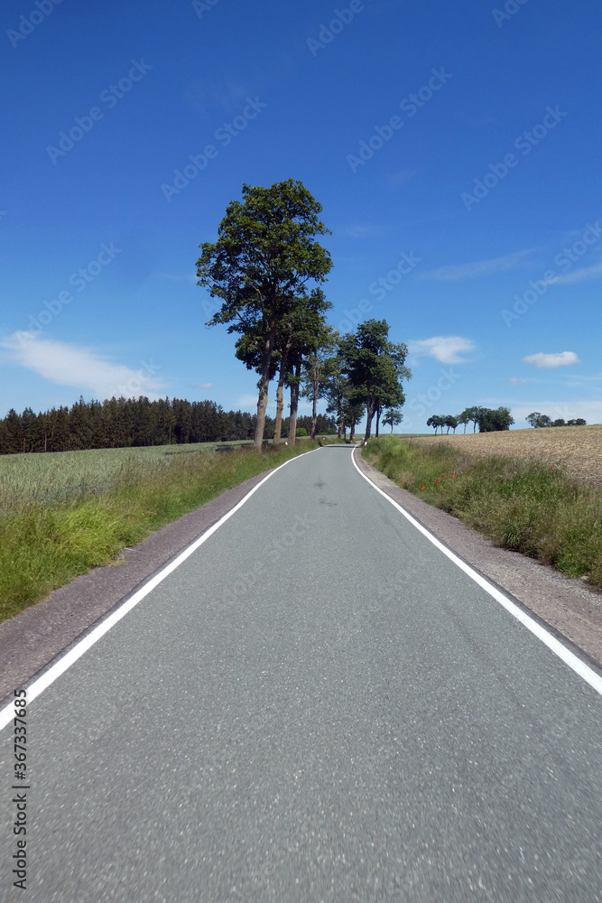 Fototapeta premium Straße zwischen Lothra und Drognitz