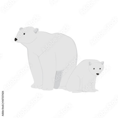 Polar Bear Illustration