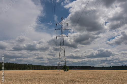 Rozległe pola porośnięte dojrzałym zbożem. photo