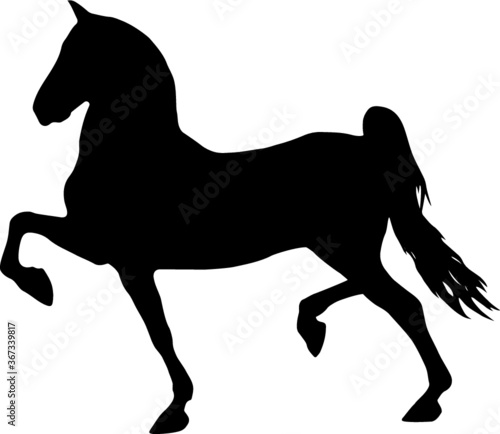 Horse silhouette isolated on white background. Vector illustration