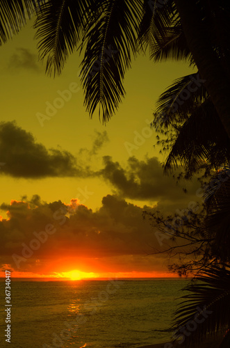 Fototapeta Naklejka Na Ścianę i Meble -  Sunset over Lagoon framed from Coco Palms