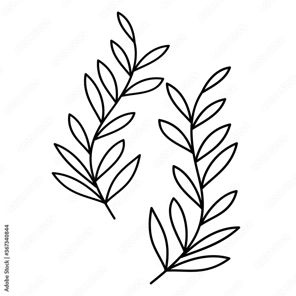 Fototapeta premium Plants 