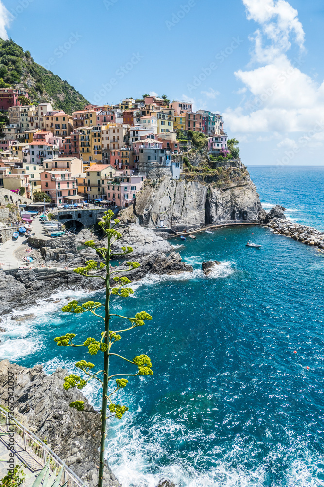 Aerial view of Manarola with an agave in foreground