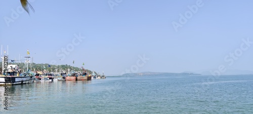 boats in the harbor