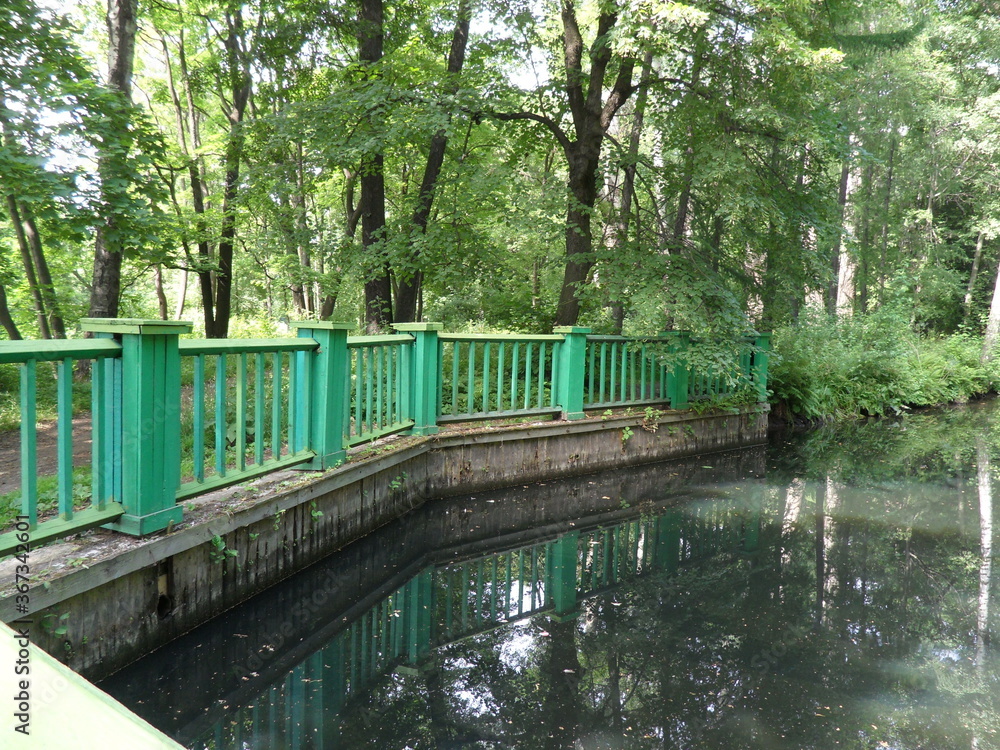 bridge in the park