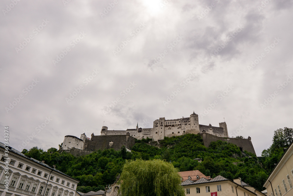 Fortress Hohensalzburg in Salzburg with plants in foreground