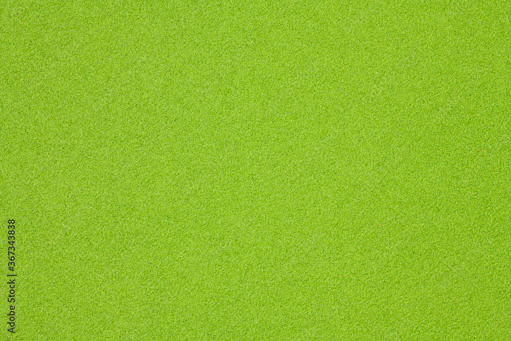 Fototapeta premium Background texture of standing water from the lemna