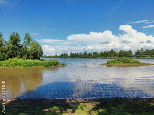 Fototapeta Naklejka Na Ścianę i Meble -  green islets on the river against the background of blue sky with clouds on a sunny day