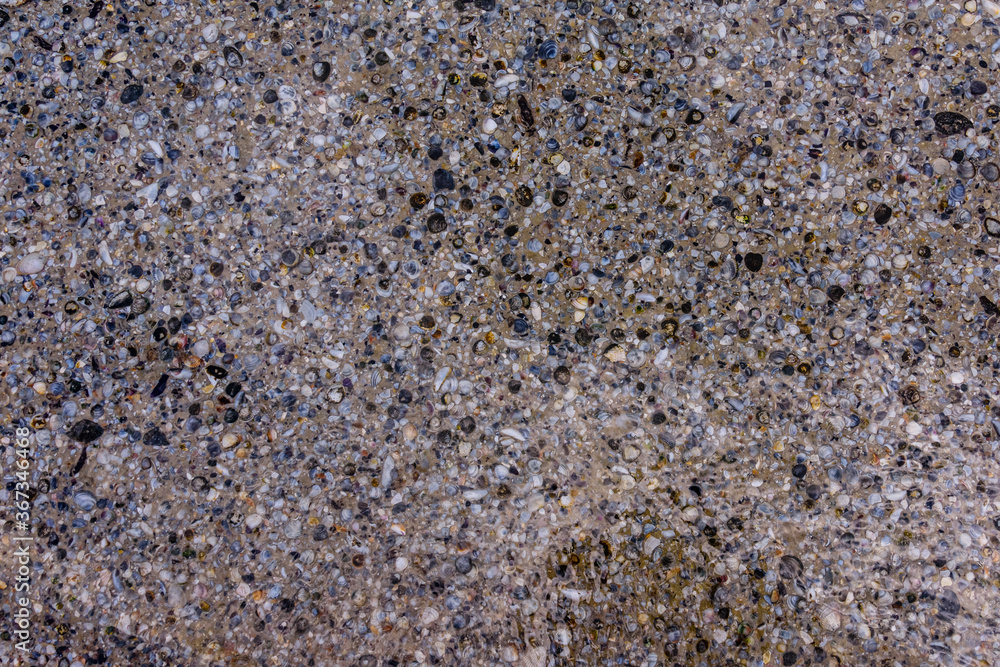 Background of the many sea shells. Natural pattern Background of the many sea shells. Natural pattern