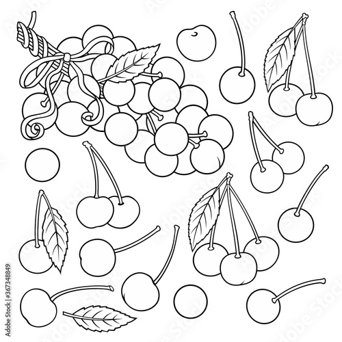 Hand drawn Cherry. Set of objects.