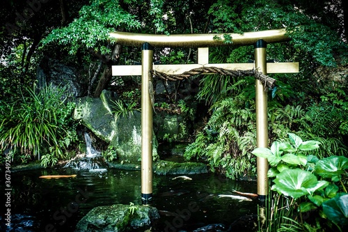 Fotografie atago temple