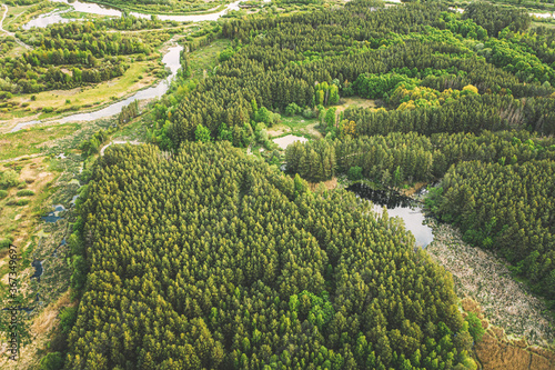 Aerial View Green Forest Woods And River Marsh In Summer Landscape. Top View Of Beautiful European Nature From High Attitude In Summer Season. Drone View. Bird's Eye View