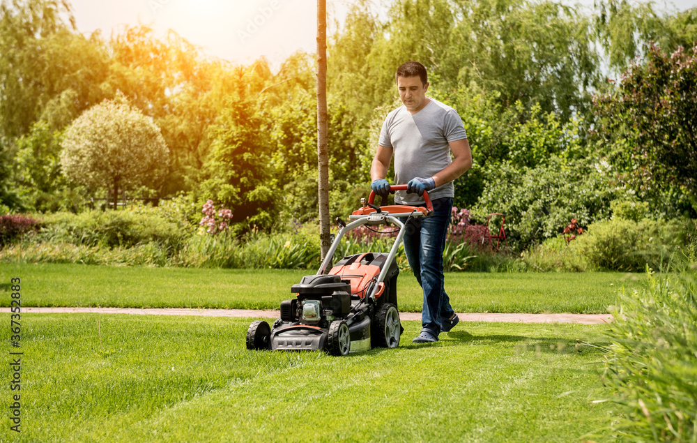 Fototapeta premium Gardener mowing the lawn. Landscape design. Green background