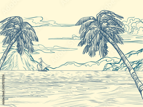 palm trees sea contour silhouette