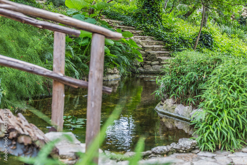 wooden bridge in the forest