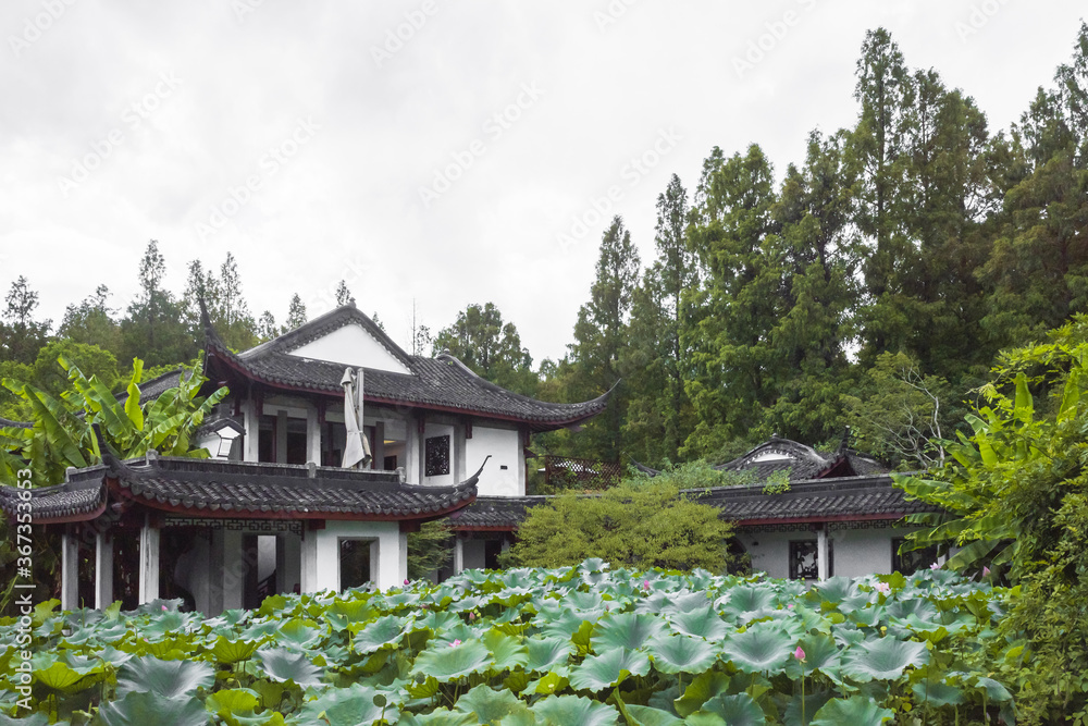 Lotus leaves by traditional architecture in West Lake scenic area in Hangzhou, China